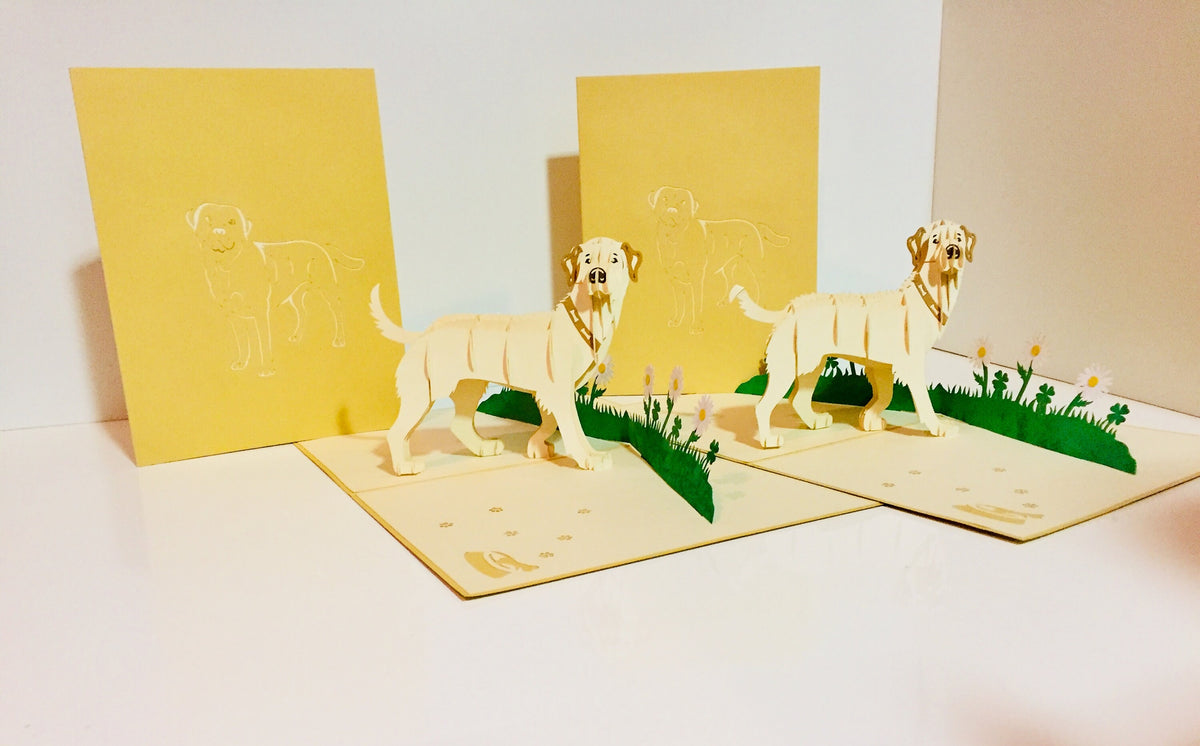 Julius Blonde Labrador Dog - Perfect for Dog Lovers Origami Pop Cards 3D Pop Up Greeting Card Happy Birthday Thank You Handmade Gift Thinking of You Blank Card for Any Occasion Happy Mother's Day Happy Father's Australiana Celebration