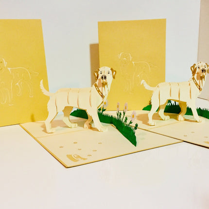 Julius Blonde Labrador Dog - Perfect for Dog Lovers Origami Pop Cards 3D Pop Up Greeting Card Happy Birthday Thank You Handmade Gift Thinking of You Blank Card for Any Occasion Happy Mother's Day Happy Father's Australiana Celebration