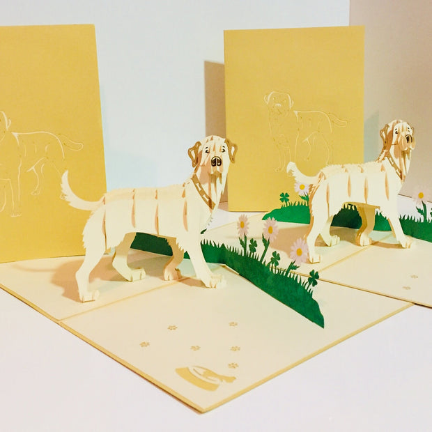 Julius Blonde Labrador Dog - Perfect for Dog Lovers Origami Pop Cards 3D Pop Up Greeting Card Happy Birthday Thank You Handmade Gift Thinking of You Blank Card for Any Occasion Happy Mother's Day Happy Father's Australiana Celebration