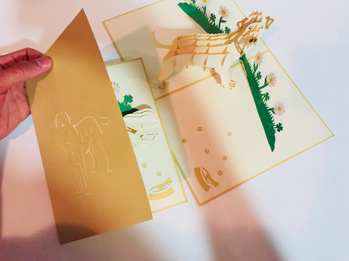 Julius Blonde Labrador Dog - Perfect for Dog Lovers Origami Pop Cards 3D Pop Up Greeting Card Happy Birthday Thank You Handmade Gift Thinking of You Blank Card for Any Occasion Happy Mother's Day Happy Father's Australiana Celebration