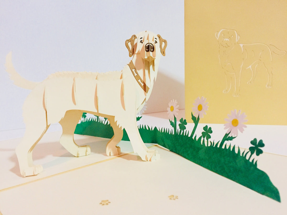 Julius Blonde Labrador Dog - Perfect for Dog Lovers Origami Pop Cards 3D Pop Up Greeting Card Happy Birthday Thank You Handmade Gift Thinking of You Blank Card for Any Occasion Happy Mother's Day Happy Father's Australiana Celebration