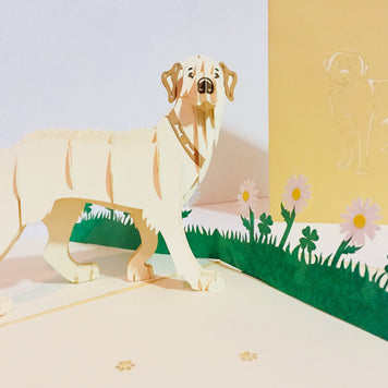 Julius Blonde Labrador Dog - Perfect for Dog Lovers Origami Pop Cards 3D Pop Up Greeting Card Happy Birthday Thank You Handmade Gift Thinking of You Blank Card for Any Occasion Happy Mother's Day Happy Father's Australiana Celebration