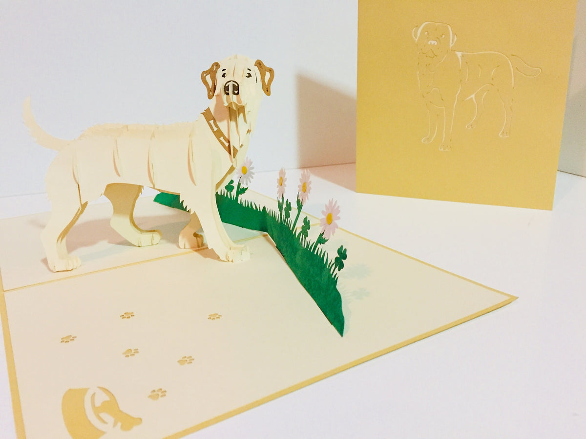 Julius Blonde Labrador Dog - Perfect for Dog Lovers Origami Pop Cards 3D Pop Up Greeting Card Happy Birthday Thank You Handmade Gift Thinking of You Blank Card for Any Occasion Happy Mother's Day Happy Father's Australiana Celebration