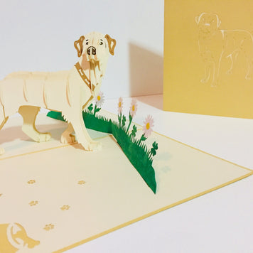 Julius Blonde Labrador Dog - Perfect for Dog Lovers Origami Pop Cards 3D Pop Up Greeting Card Happy Birthday Thank You Handmade Gift Thinking of You Blank Card for Any Occasion Happy Mother's Day Happy Father's Australiana Celebration