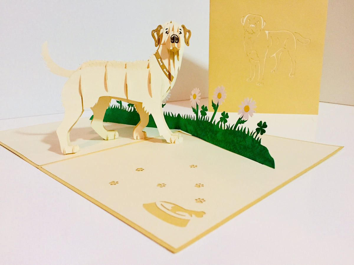 Julius Blonde Labrador Dog - Perfect for Dog Lovers Origami Pop Cards 3D Pop Up Greeting Card Happy Birthday Thank You Handmade Gift Thinking of You Blank Card for Any Occasion Happy Mother's Day Happy Father's Australiana Celebration