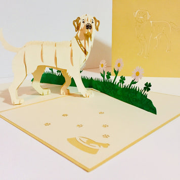 Julius Blonde Labrador Dog - Perfect for Dog Lovers Origami Pop Cards 3D Pop Up Greeting Card Happy Birthday Thank You Handmade Gift Thinking of You Blank Card for Any Occasion Happy Mother's Day Happy Father's Australiana Celebration