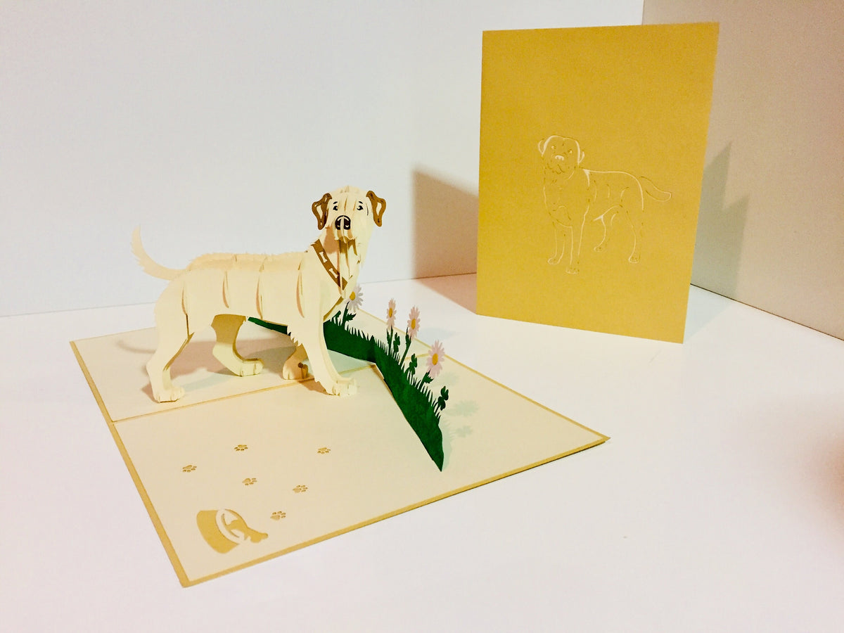 Julius Blonde Labrador Dog - Perfect for Dog Lovers Origami Pop Cards 3D Pop Up Greeting Card Happy Birthday Thank You Handmade Gift Thinking of You Blank Card for Any Occasion Happy Mother's Day Happy Father's Australiana Celebration