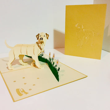 Julius Blonde Labrador Dog - Perfect for Dog Lovers Origami Pop Cards 3D Pop Up Greeting Card Happy Birthday Thank You Handmade Gift Thinking of You Blank Card for Any Occasion Happy Mother's Day Happy Father's Australiana Celebration