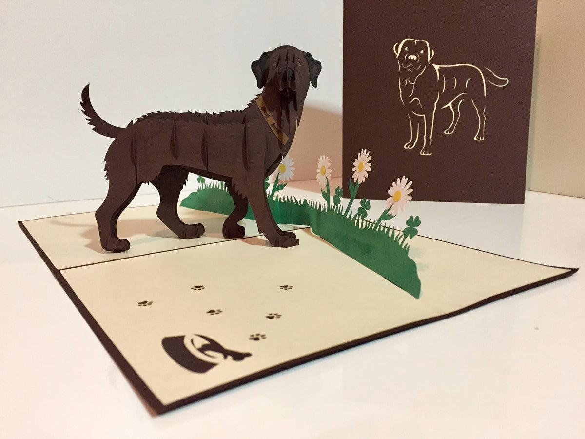Julius Chocolate Labrador Dog - Perfect for Dog Lovers Origami Pop Cards 3D Pop Up Greeting Card Happy Birthday Thank You Handmade Gift Thinking of You Blank Card for Any Occasion Happy Mother's Day Happy Father's Australiana Celebration
