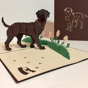 Julius Chocolate Labrador Dog - Perfect for Dog Lovers Origami Pop Cards 3D Pop Up Greeting Card Happy Birthday Thank You Handmade Gift Thinking of You Blank Card for Any Occasion Happy Mother's Day Happy Father's Australiana Celebration