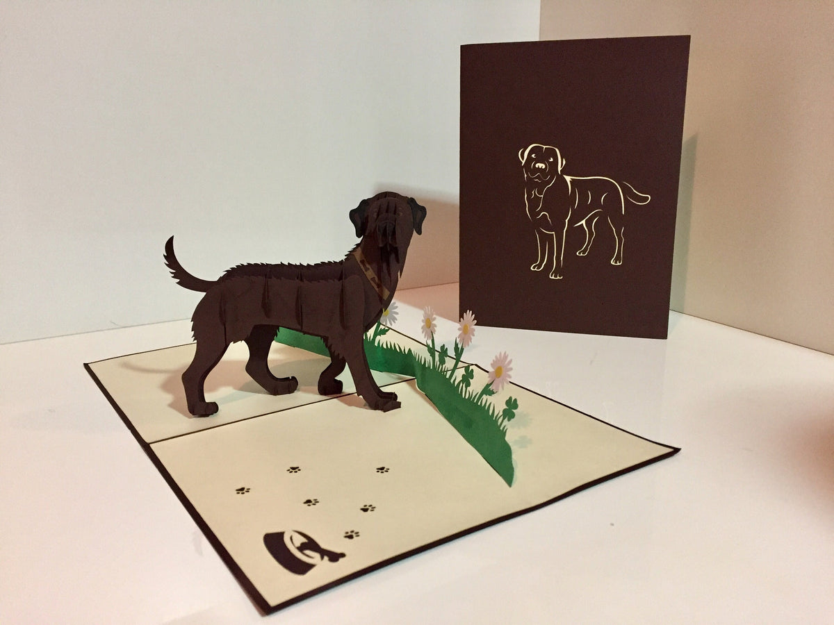 Julius Chocolate Labrador Dog - Perfect for Dog Lovers Origami Pop Cards 3D Pop Up Greeting Card Happy Birthday Thank You Handmade Gift Thinking of You Blank Card for Any Occasion Happy Mother's Day Happy Father's Australiana Celebration