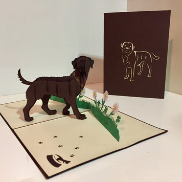 Julius Chocolate Labrador Dog - Perfect for Dog Lovers Origami Pop Cards 3D Pop Up Greeting Card Happy Birthday Thank You Handmade Gift Thinking of You Blank Card for Any Occasion Happy Mother's Day Happy Father's Australiana Celebration