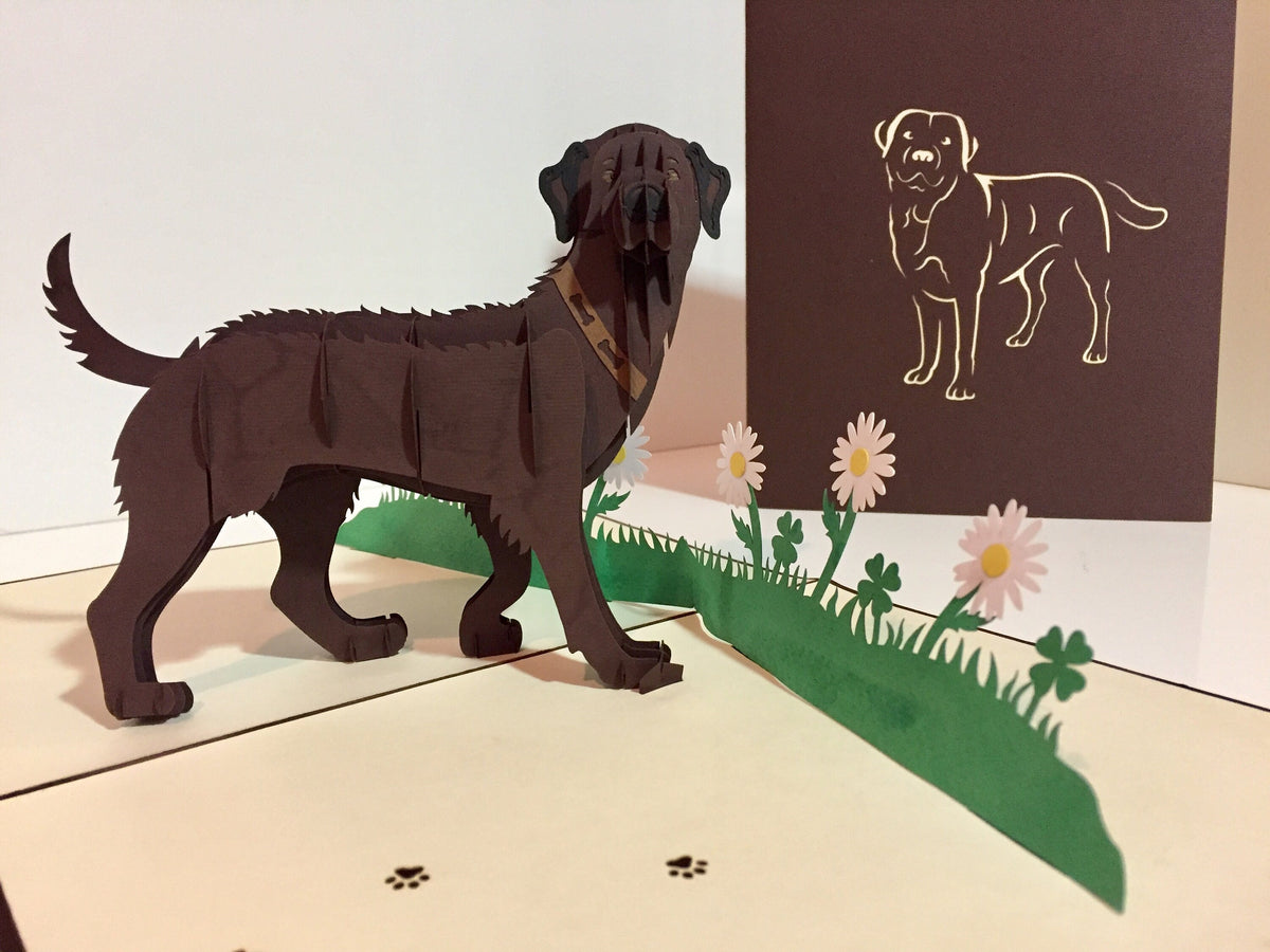 Julius Chocolate Labrador Dog - Perfect for Dog Lovers Origami Pop Cards 3D Pop Up Greeting Card Happy Birthday Thank You Handmade Gift Thinking of You Blank Card for Any Occasion Happy Mother's Day Happy Father's Australiana Celebration