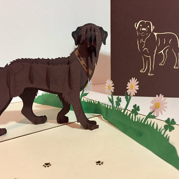 Julius Chocolate Labrador Dog - Perfect for Dog Lovers Origami Pop Cards 3D Pop Up Greeting Card Happy Birthday Thank You Handmade Gift Thinking of You Blank Card for Any Occasion Happy Mother's Day Happy Father's Australiana Celebration