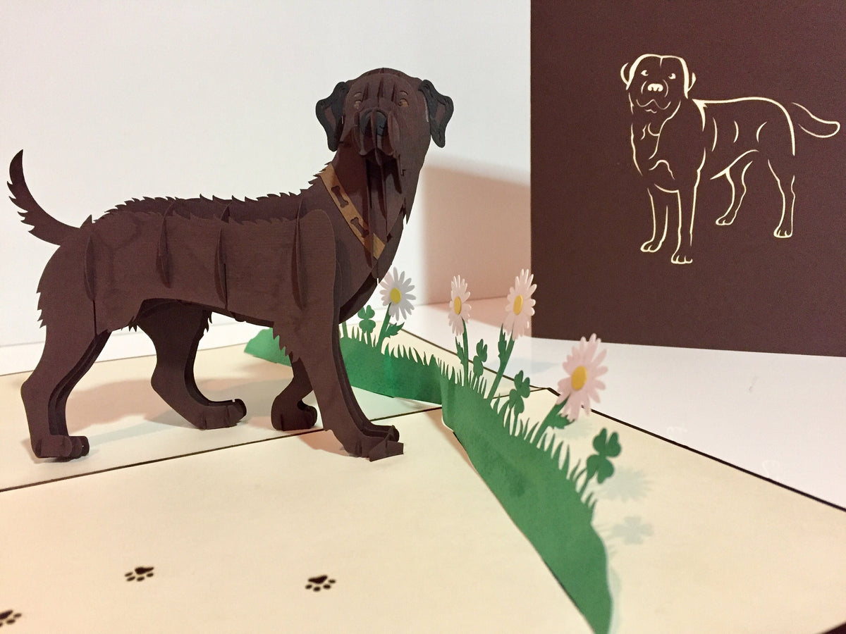 Julius Chocolate Labrador Dog - Perfect for Dog Lovers Origami Pop Cards 3D Pop Up Greeting Card Happy Birthday Thank You Handmade Gift Thinking of You Blank Card for Any Occasion Happy Mother's Day Happy Father's Australiana Celebration