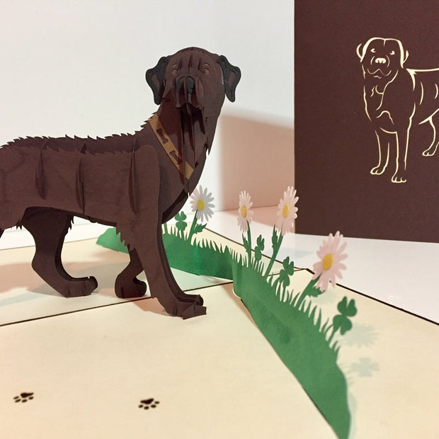 Julius Chocolate Labrador Dog - Perfect for Dog Lovers Origami Pop Cards 3D Pop Up Greeting Card Happy Birthday Thank You Handmade Gift Thinking of You Blank Card for Any Occasion Happy Mother's Day Happy Father's Australiana Celebration