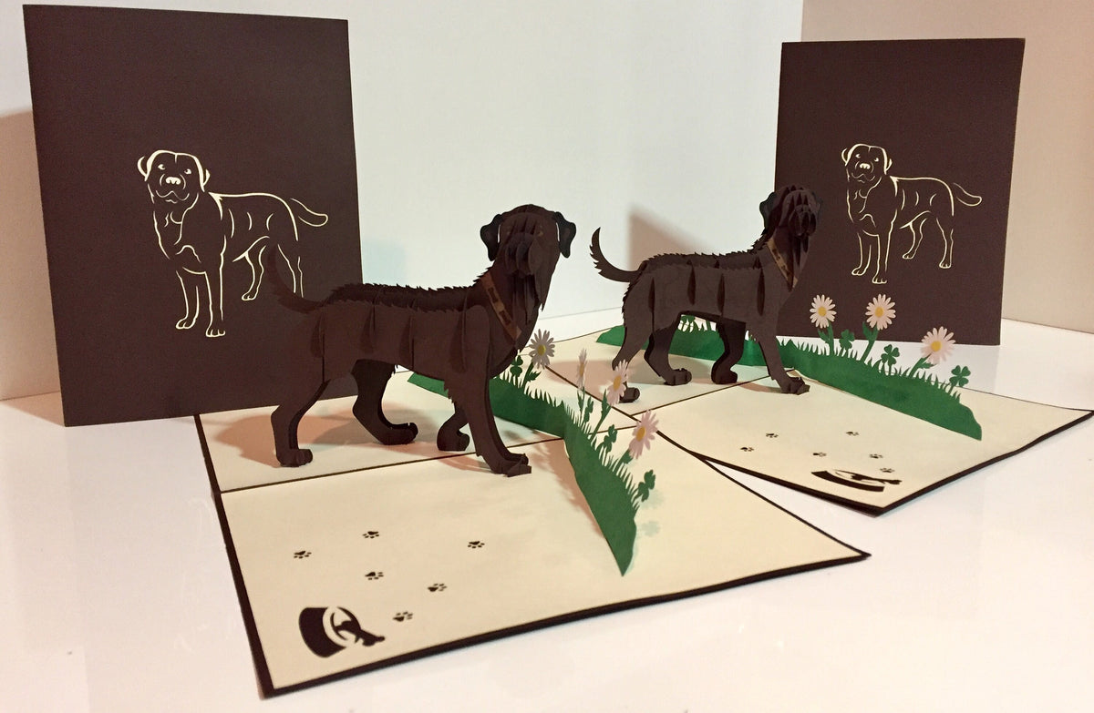 Julius Chocolate Labrador Dog - Perfect for Dog Lovers Origami Pop Cards 3D Pop Up Greeting Card Happy Birthday Thank You Handmade Gift Thinking of You Blank Card for Any Occasion Happy Mother's Day Happy Father's Australiana Celebration