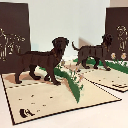 Julius Chocolate Labrador Dog - Perfect for Dog Lovers Origami Pop Cards 3D Pop Up Greeting Card Happy Birthday Thank You Handmade Gift Thinking of You Blank Card for Any Occasion Happy Mother's Day Happy Father's Australiana Celebration