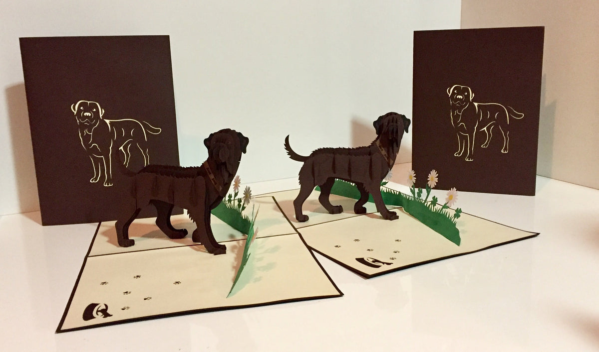 Julius Chocolate Labrador Dog - Perfect for Dog Lovers Origami Pop Cards 3D Pop Up Greeting Card Happy Birthday Thank You Handmade Gift Thinking of You Blank Card for Any Occasion Happy Mother's Day Happy Father's Australiana Celebration