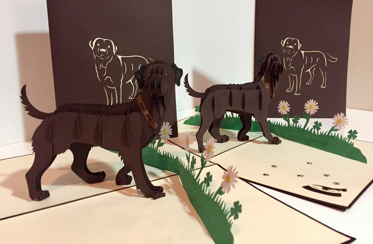 Julius Chocolate Labrador Dog - Perfect for Dog Lovers Origami Pop Cards 3D Pop Up Greeting Card Happy Birthday Thank You Handmade Gift Thinking of You Blank Card for Any Occasion Happy Mother's Day Happy Father's Australiana Celebration