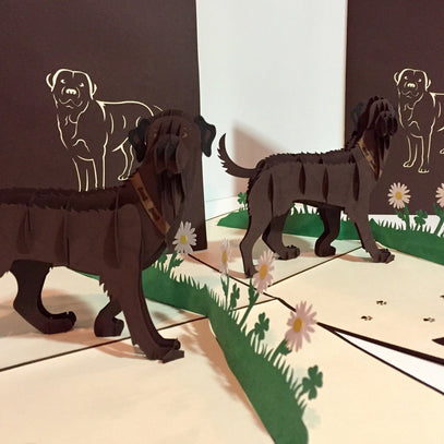 Julius Chocolate Labrador Dog - Perfect for Dog Lovers Origami Pop Cards 3D Pop Up Greeting Card Happy Birthday Thank You Handmade Gift Thinking of You Blank Card for Any Occasion Happy Mother's Day Happy Father's Australiana Celebration