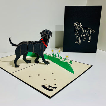 Black Labrador Dog - Perfect for Dog Lovers Origami Pop Cards 3D Pop Up Greeting Card Happy Birthday Thank You Handmade Gift Thinking of You Blank Card for Any Occasion Happy Mother's Day Happy Father's Australiana Celebrate the Beauty of Animals