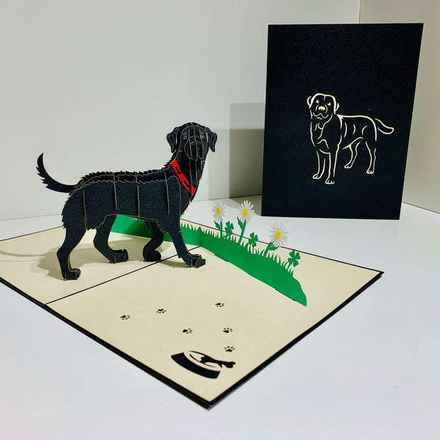 Black Labrador Dog - Perfect for Dog Lovers Origami Pop Cards 3D Pop Up Greeting Card Happy Birthday Thank You Handmade Gift Thinking of You Blank Card for Any Occasion Happy Mother's Day Happy Father's Australiana Celebrate the Beauty of Animals