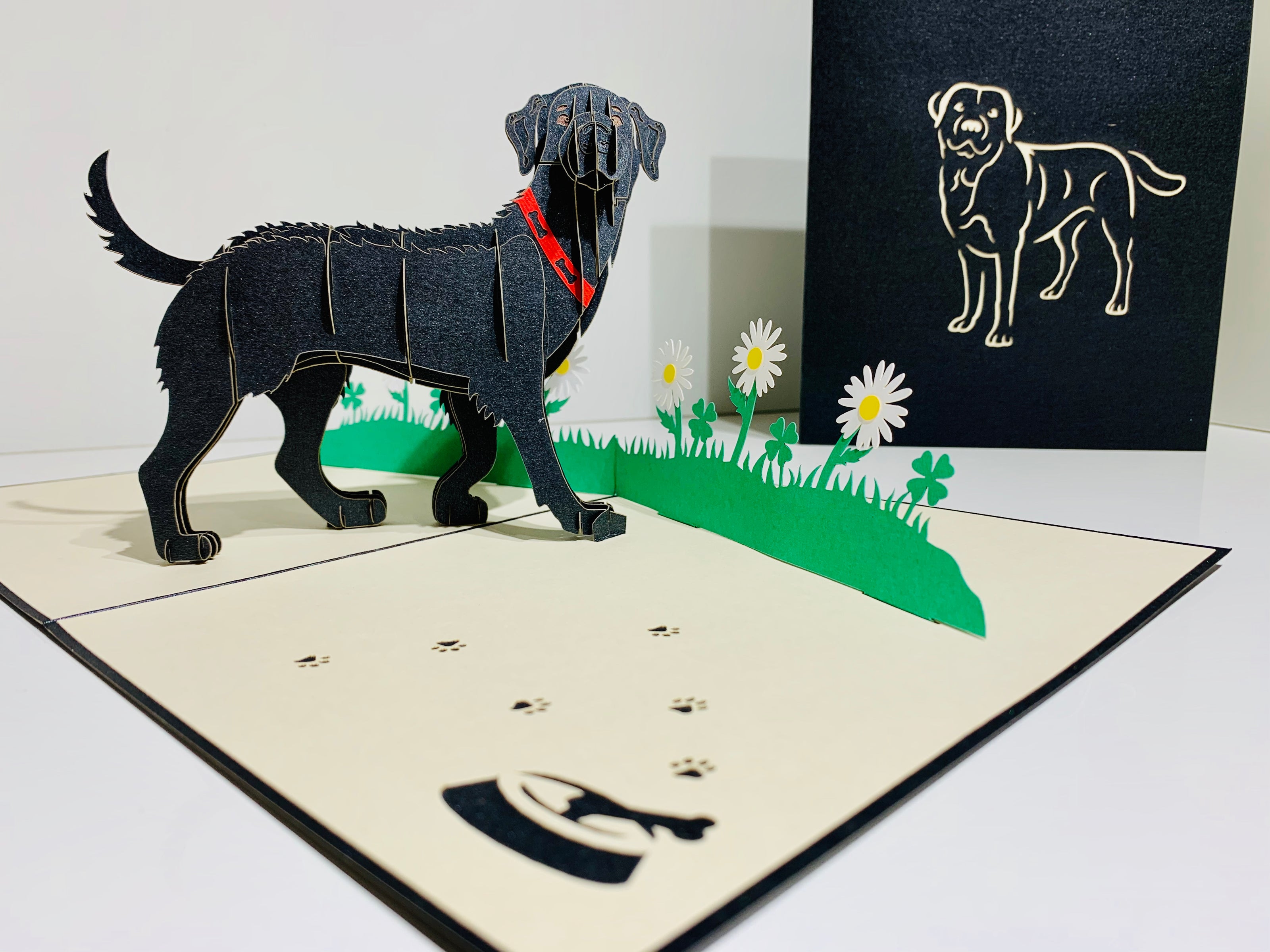 Black Labrador Dog - Perfect for Dog Lovers Origami Pop Cards 3D Pop Up Greeting Card Happy Birthday Thank You Handmade Gift Thinking of You Blank Card for Any Occasion Happy Mother's Day Happy Father's Australiana Celebrate the Beauty of Animals
