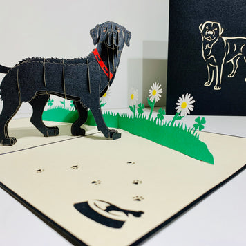Black Labrador Dog - Perfect for Dog Lovers Origami Pop Cards 3D Pop Up Greeting Card Happy Birthday Thank You Handmade Gift Thinking of You Blank Card for Any Occasion Happy Mother's Day Happy Father's Australiana Celebrate the Beauty of Animals
