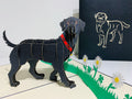 Black Labrador Dog - Perfect for Dog Lovers Origami Pop Cards 3D Pop Up Greeting Card Happy Birthday Thank You Handmade Gift Thinking of You Blank Card for Any Occasion Happy Mother's Day Happy Father's Australiana Celebrate the Beauty of Animals