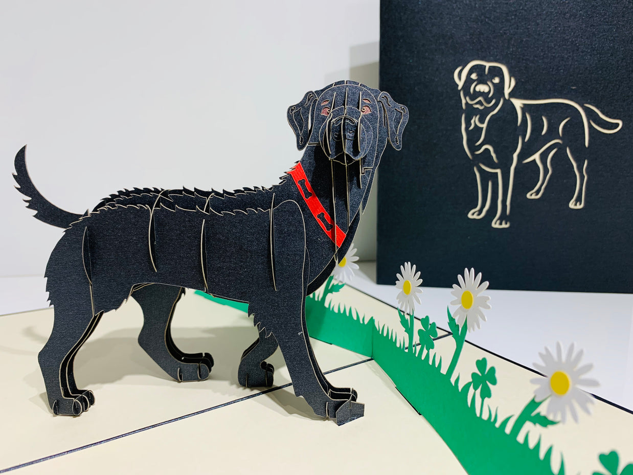 Black Labrador Dog - Perfect for Dog Lovers Origami Pop Cards 3D Pop Up Greeting Card Happy Birthday Thank You Handmade Gift Thinking of You Blank Card for Any Occasion Happy Mother's Day Happy Father's Australiana Celebrate the Beauty of Animals