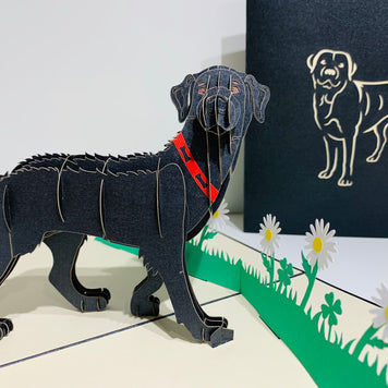 Black Labrador Dog - Perfect for Dog Lovers Origami Pop Cards 3D Pop Up Greeting Card Happy Birthday Thank You Handmade Gift Thinking of You Blank Card for Any Occasion Happy Mother's Day Happy Father's Australiana Celebrate the Beauty of Animals