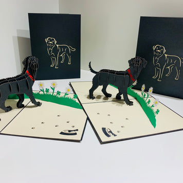 Black Labrador Dog - Perfect for Dog Lovers Origami Pop Cards 3D Pop Up Greeting Card Happy Birthday Thank You Handmade Gift Thinking of You Blank Card for Any Occasion Happy Mother's Day Happy Father's Australiana Celebrate the Beauty of Animals