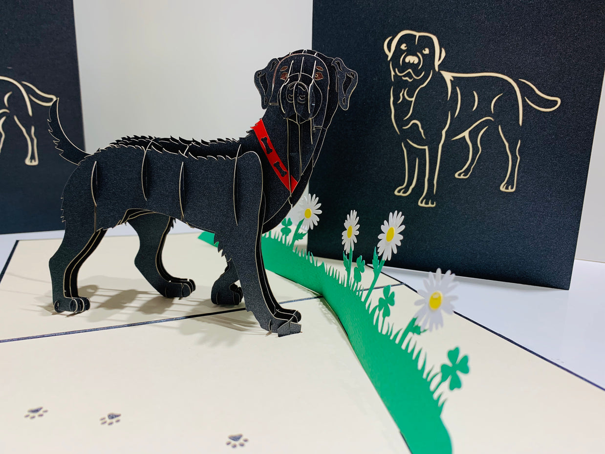 Black Labrador Dog - Perfect for Dog Lovers Origami Pop Cards 3D Pop Up Greeting Card Happy Birthday Thank You Handmade Gift Thinking of You Blank Card for Any Occasion Happy Mother's Day Happy Father's Australiana Celebrate the Beauty of Animals