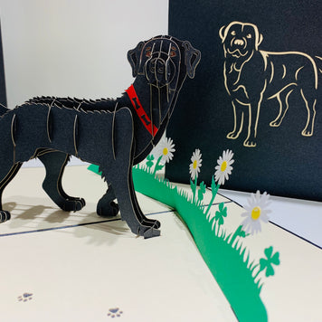 Black Labrador Dog - Perfect for Dog Lovers Origami Pop Cards 3D Pop Up Greeting Card Happy Birthday Thank You Handmade Gift Thinking of You Blank Card for Any Occasion Happy Mother's Day Happy Father's Australiana Celebrate the Beauty of Animals