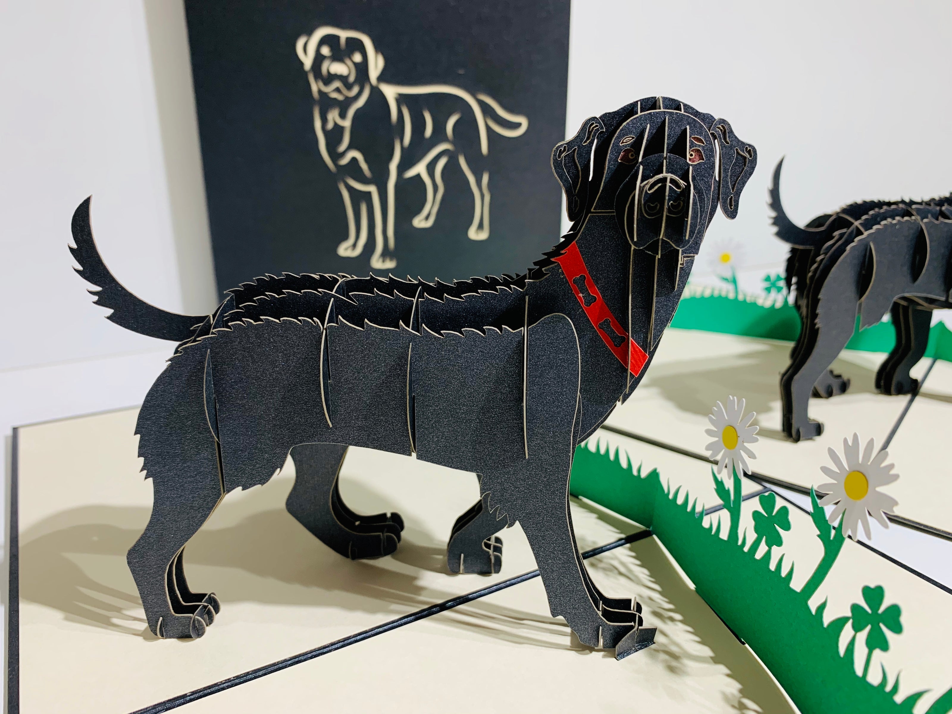 Black Labrador Dog - Perfect for Dog Lovers Origami Pop Cards 3D Pop Up Greeting Card Happy Birthday Thank You Handmade Gift Thinking of You Blank Card for Any Occasion Happy Mother's Day Happy Father's Australiana Celebrate the Beauty of Animals