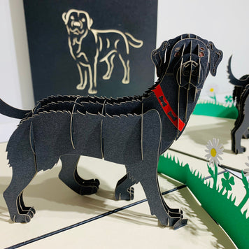 Black Labrador Dog - Perfect for Dog Lovers Origami Pop Cards 3D Pop Up Greeting Card Happy Birthday Thank You Handmade Gift Thinking of You Blank Card for Any Occasion Happy Mother's Day Happy Father's Australiana Celebrate the Beauty of Animals