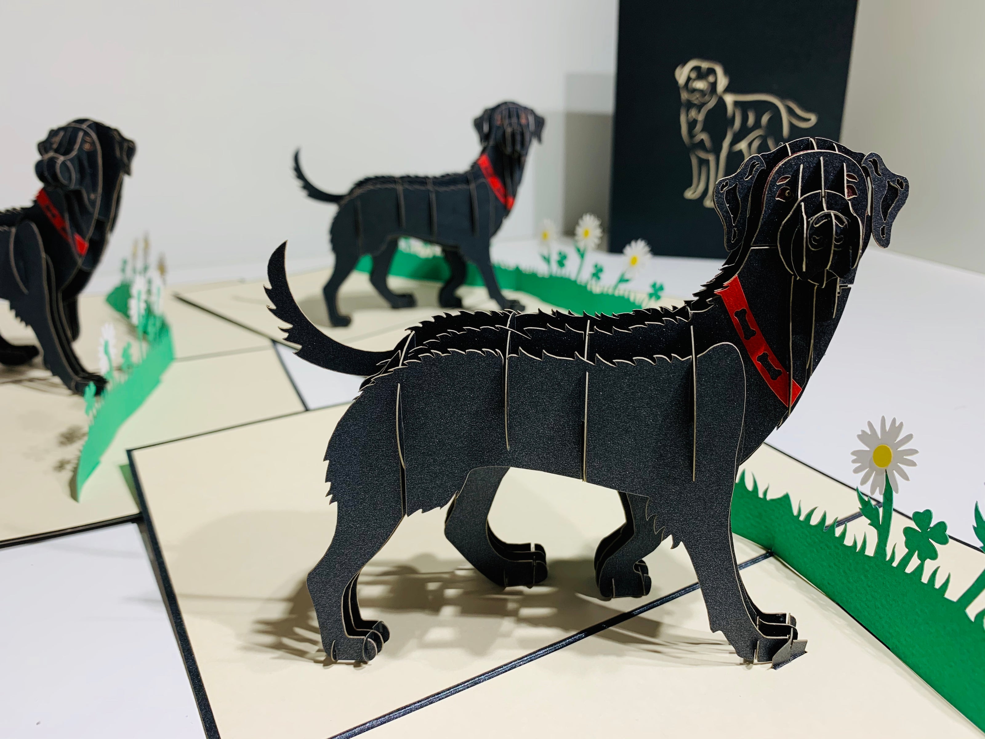 Black Labrador Dog - Perfect for Dog Lovers Origami Pop Cards 3D Pop Up Greeting Card Happy Birthday Thank You Handmade Gift Thinking of You Blank Card for Any Occasion Happy Mother's Day Happy Father's Australiana Celebrate the Beauty of Animals