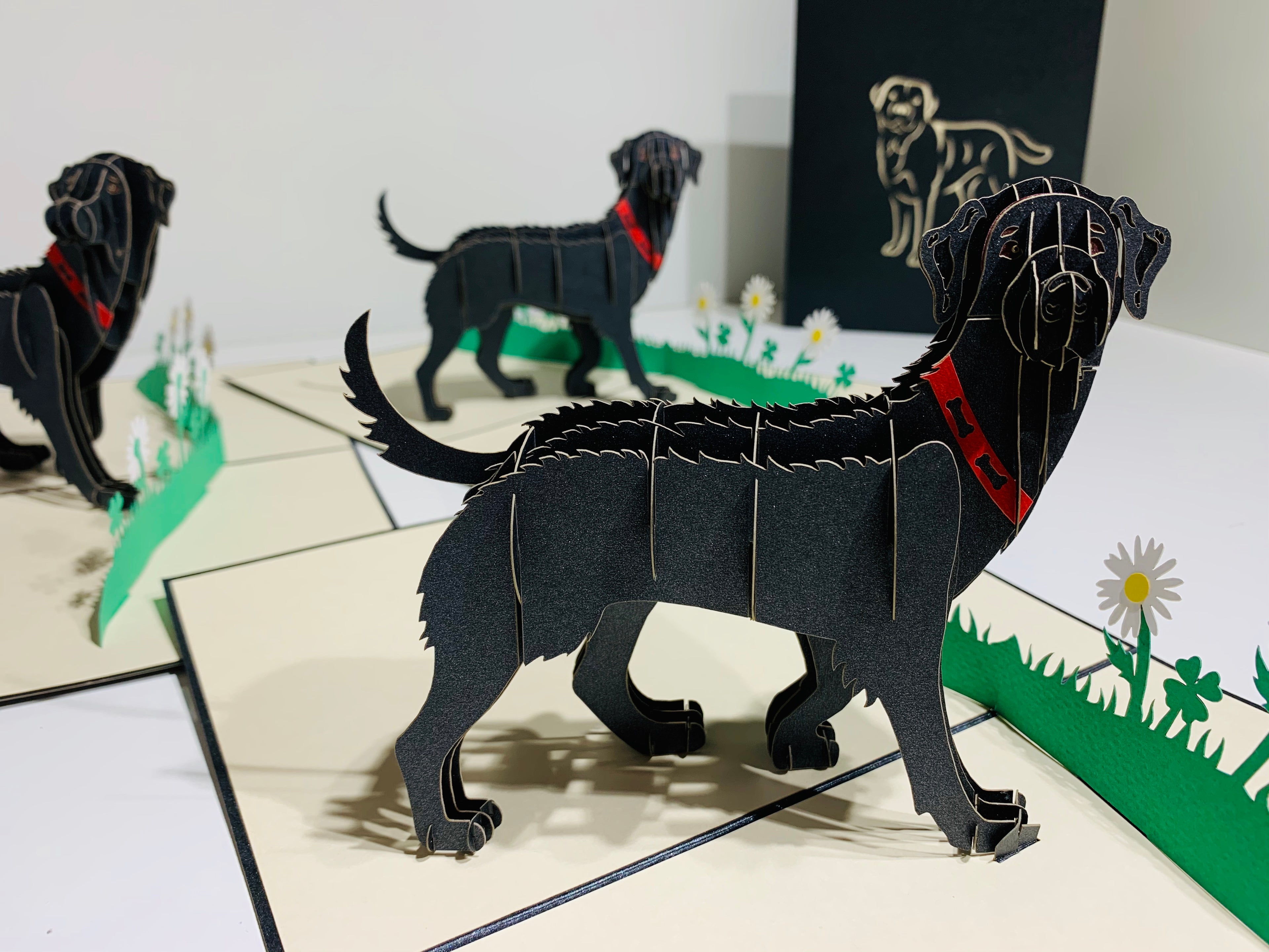 Black Labrador Dog - Perfect for Dog Lovers Origami Pop Cards 3D Pop Up Greeting Card Happy Birthday Thank You Handmade Gift Thinking of You Blank Card for Any Occasion Happy Mother's Day Happy Father's Australiana Celebrate the Beauty of Animals