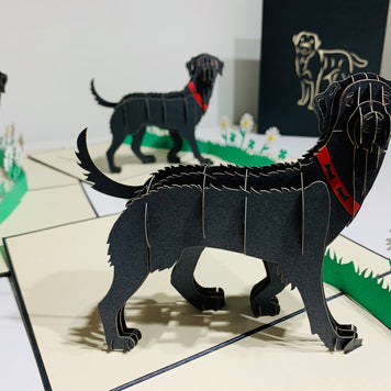 Black Labrador Dog - Perfect for Dog Lovers Origami Pop Cards 3D Pop Up Greeting Card Happy Birthday Thank You Handmade Gift Thinking of You Blank Card for Any Occasion Happy Mother's Day Happy Father's Australiana Celebrate the Beauty of Animals