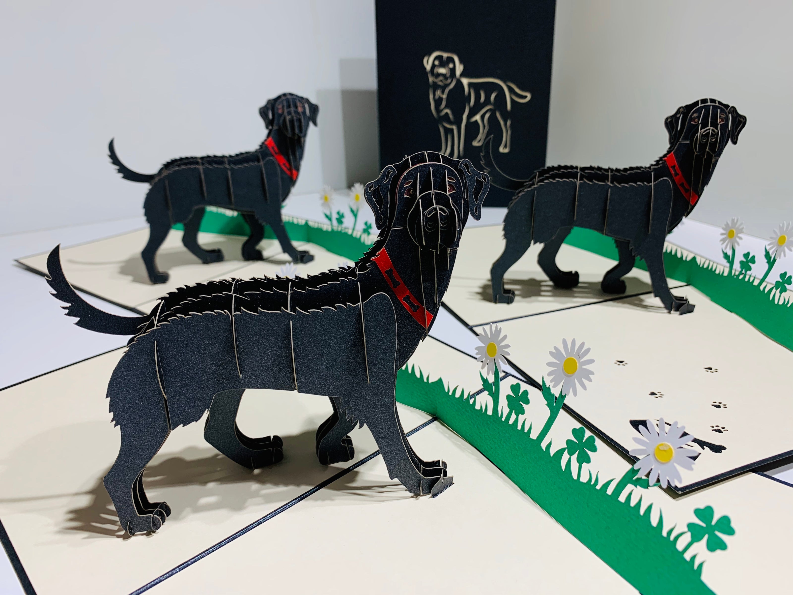 Black Labrador Dog - Perfect for Dog Lovers Origami Pop Cards 3D Pop Up Greeting Card Happy Birthday Thank You Handmade Gift Thinking of You Blank Card for Any Occasion Happy Mother's Day Happy Father's Australiana Celebrate the Beauty of Animals