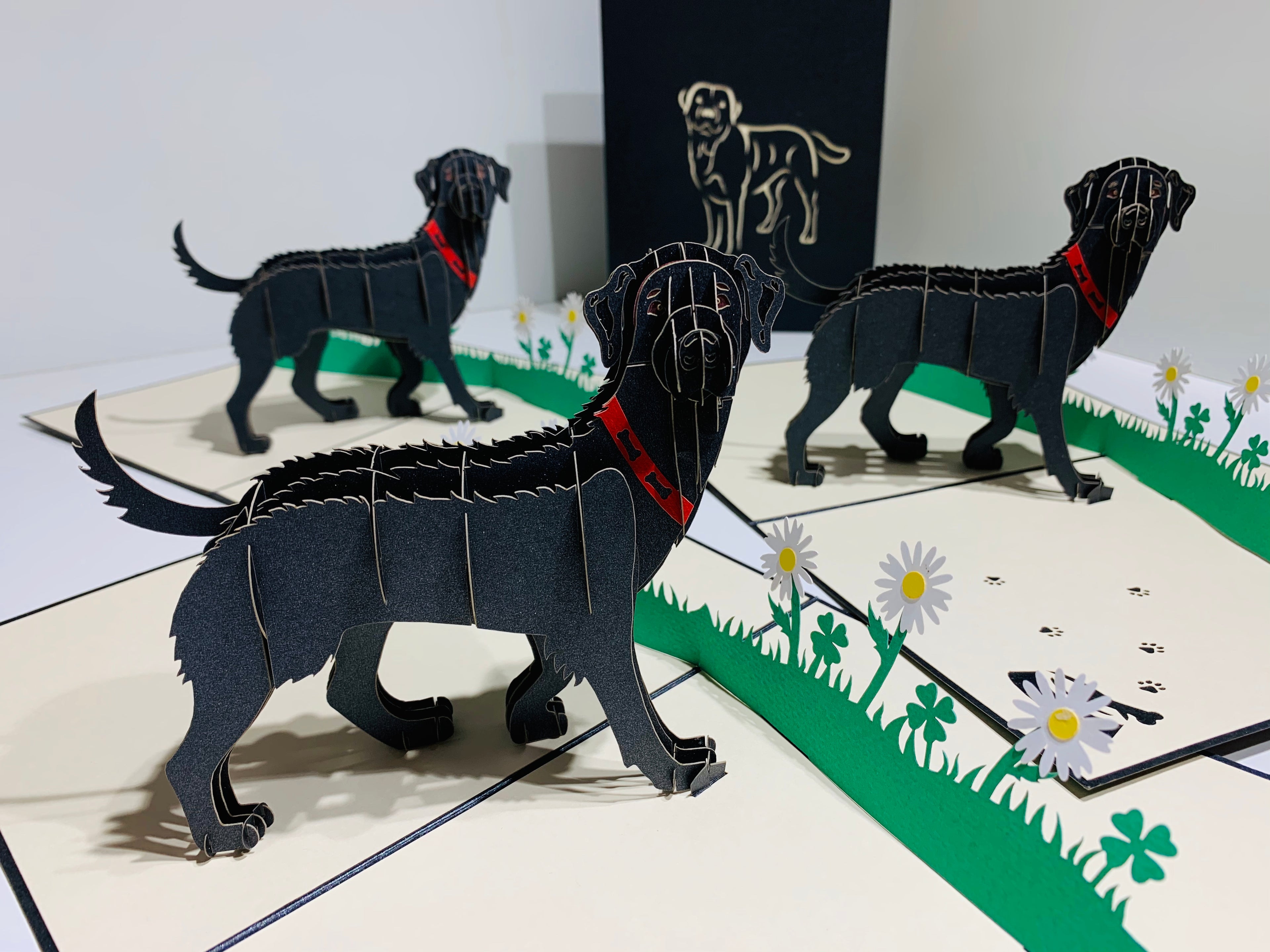 Black Labrador Dog - Perfect for Dog Lovers Origami Pop Cards 3D Pop Up Greeting Card Happy Birthday Thank You Handmade Gift Thinking of You Blank Card for Any Occasion Happy Mother's Day Happy Father's Australiana Celebrate the Beauty of Animals
