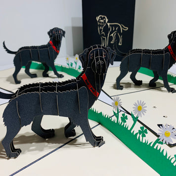 Black Labrador Dog - Perfect for Dog Lovers Origami Pop Cards 3D Pop Up Greeting Card Happy Birthday Thank You Handmade Gift Thinking of You Blank Card for Any Occasion Happy Mother's Day Happy Father's Australiana Celebrate the Beauty of Animals