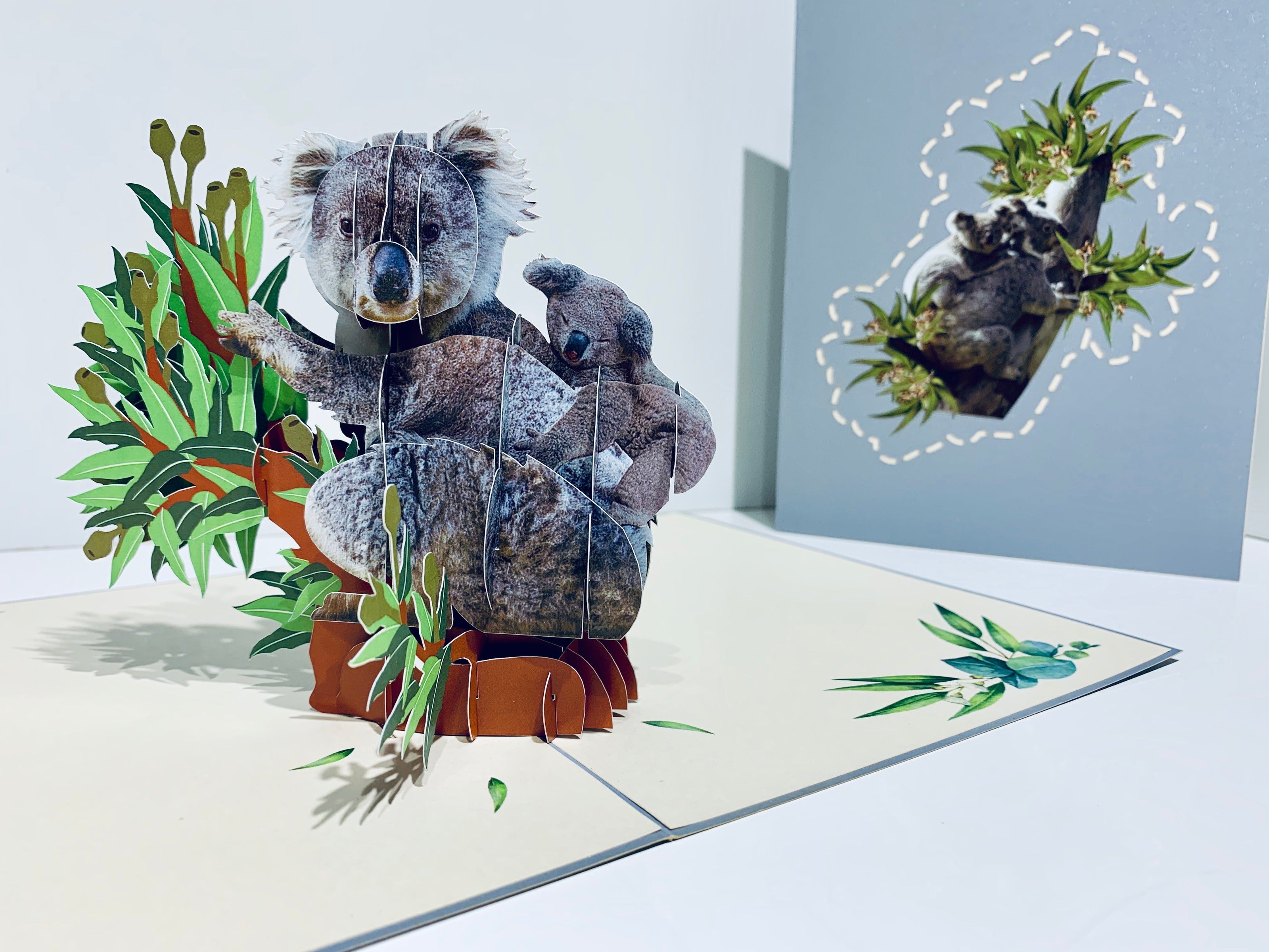 Koala Mother & Baby Australian Wild Animal Origami Pop Cards 3D Pop Up Greeting Card Happy Birthday Thank You Handmade Gift Thinking of You Blank Card for Any Occasion Happy Mother's Day Happy Father's Animals Donation to WWF-Australia