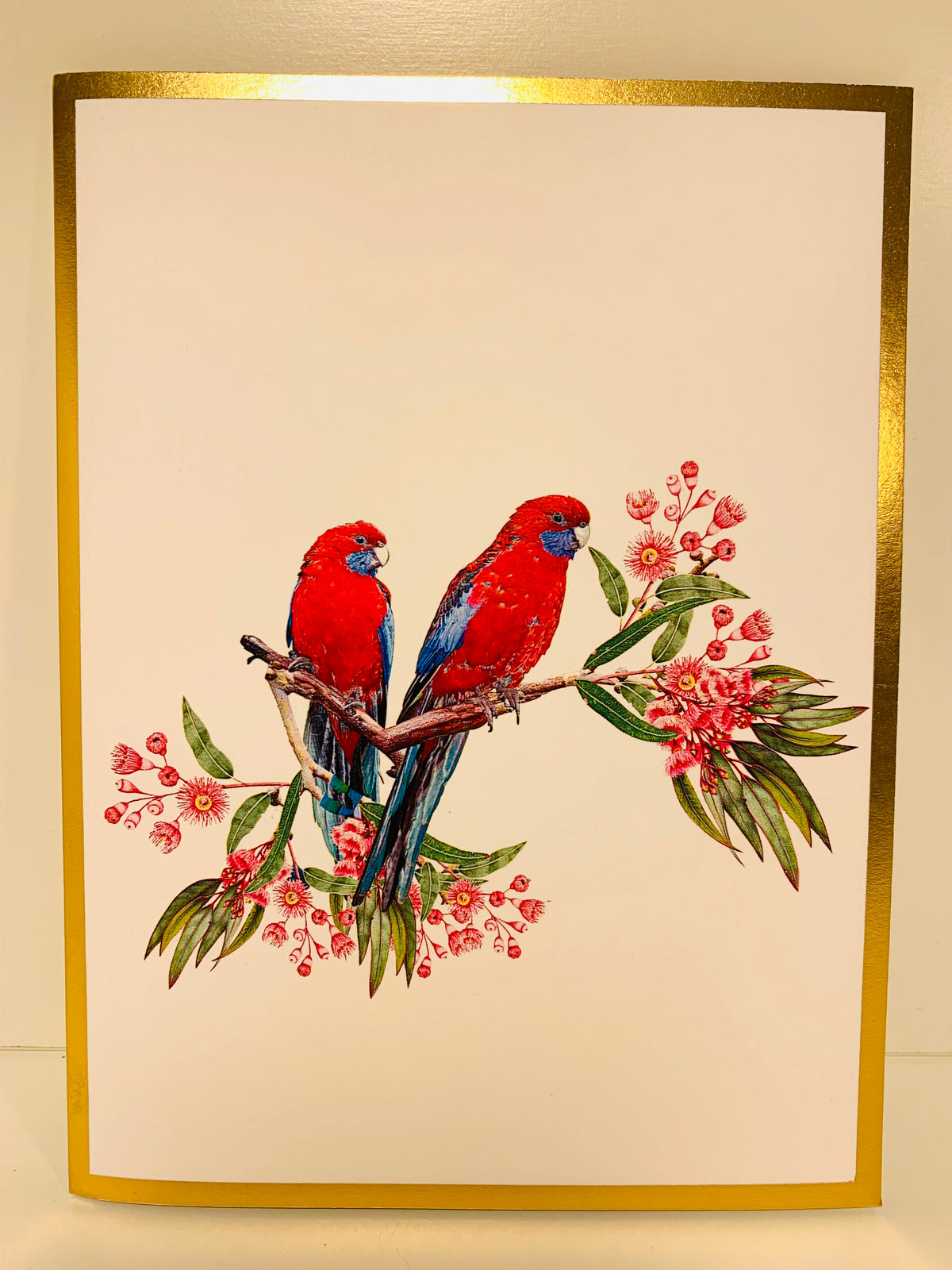 LUXURY Gold Double Crimson Rosella Parrot Australian Bird Origami Pop Cards 3D Pop Up Greeting Card Happy Birthday Thank You Handmade Gift Thinking of You Blank Card for Any Occasion Happy Mother's Day Happy Father's Australiana Birds