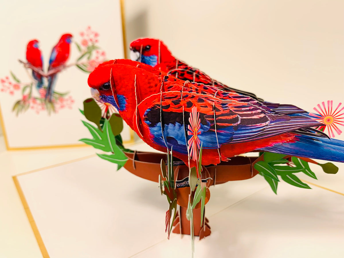 LUXURY Gold Double Crimson Rosella Parrot Australian Bird Origami Pop Cards 3D Pop Up Greeting Card Happy Birthday Thank You Handmade Gift Thinking of You Blank Card for Any Occasion Happy Mother's Day Happy Father's Australiana Birds