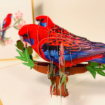 LUXURY Gold Double Crimson Rosella Parrot Australian Bird Origami Pop Cards 3D Pop Up Greeting Card Happy Birthday Thank You Handmade Gift Thinking of You Blank Card for Any Occasion Happy Mother's Day Happy Father's Australiana Birds