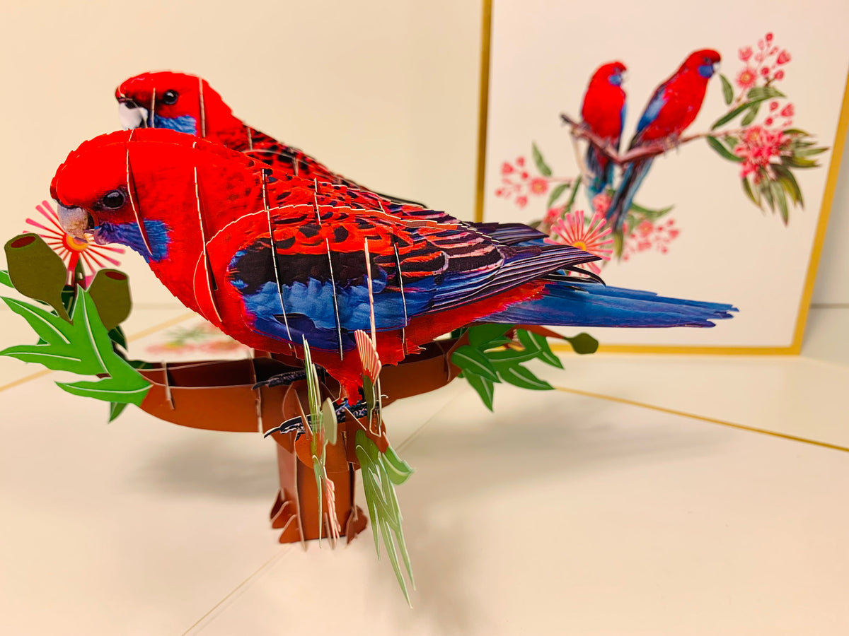 LUXURY Gold Double Crimson Rosella Parrot Australian Bird Origami Pop Cards 3D Pop Up Greeting Card Happy Birthday Thank You Handmade Gift Thinking of You Blank Card for Any Occasion Happy Mother's Day Happy Father's Australiana Birds