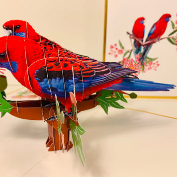 LUXURY Gold Double Crimson Rosella Parrot Australian Bird Origami Pop Cards 3D Pop Up Greeting Card Happy Birthday Thank You Handmade Gift Thinking of You Blank Card for Any Occasion Happy Mother's Day Happy Father's Australiana Birds