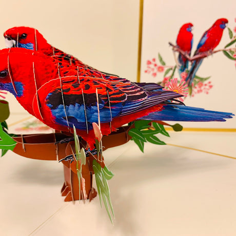 LUXURY Gold Double Crimson Rosella Parrot Australian Bird Origami Pop Cards 3D Pop Up Greeting Card Happy Birthday Thank You Handmade Gift Thinking of You Blank Card for Any Occasion Happy Mother's Day Happy Father's Australiana Birds